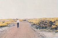 The Findhorn Foundation was established on land as forbidding as these gorse-covered sand dunes.